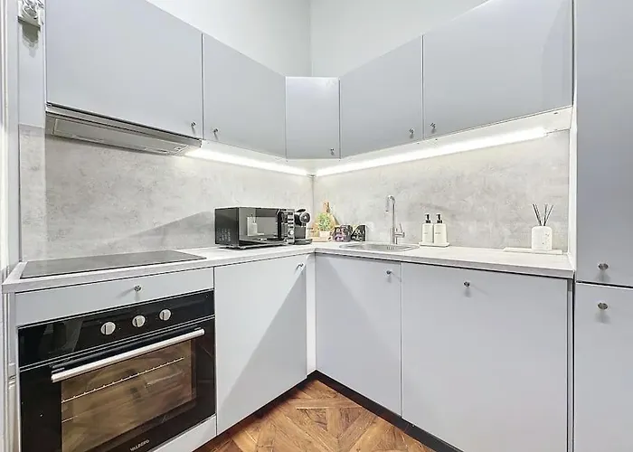 Cosy Appartement, Coeur De Lyon, Plat